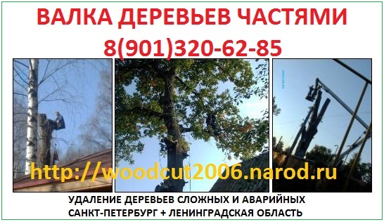 Валка деревьев частями 89013206285 http://woodcut2006.narod.ru/ СПб + ЛО
